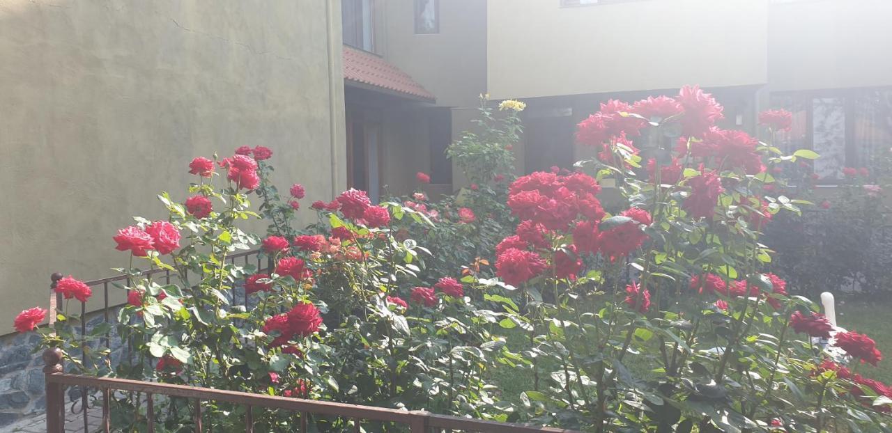Villa Mugur 2 Mai Ngoại thất bức ảnh