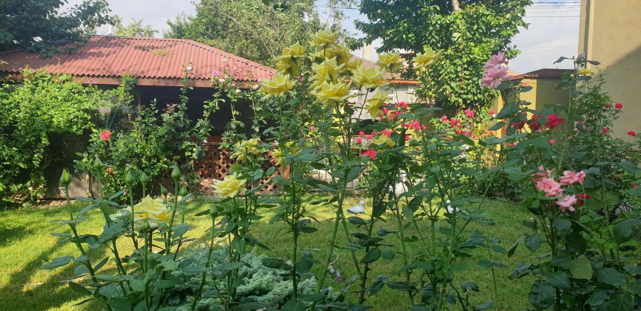 Villa Mugur 2 Mai Ngoại thất bức ảnh